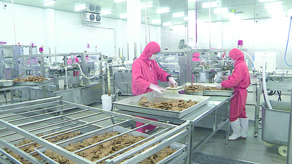 圖片新聞 食品代理與銷售——連接美味與消費者的橋梁