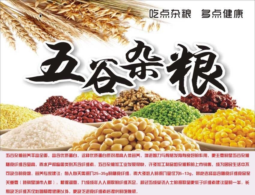 黑龍江灰扁豆 東北特產，天然鳥食與優質食品代理之選